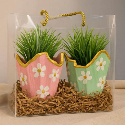 Luxury Gift Hamper Online | Designer Plant Combo with Floral Planters