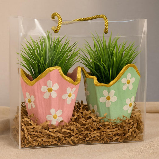 Luxury Gift Hamper Online | Designer Plant Combo with Floral Planters