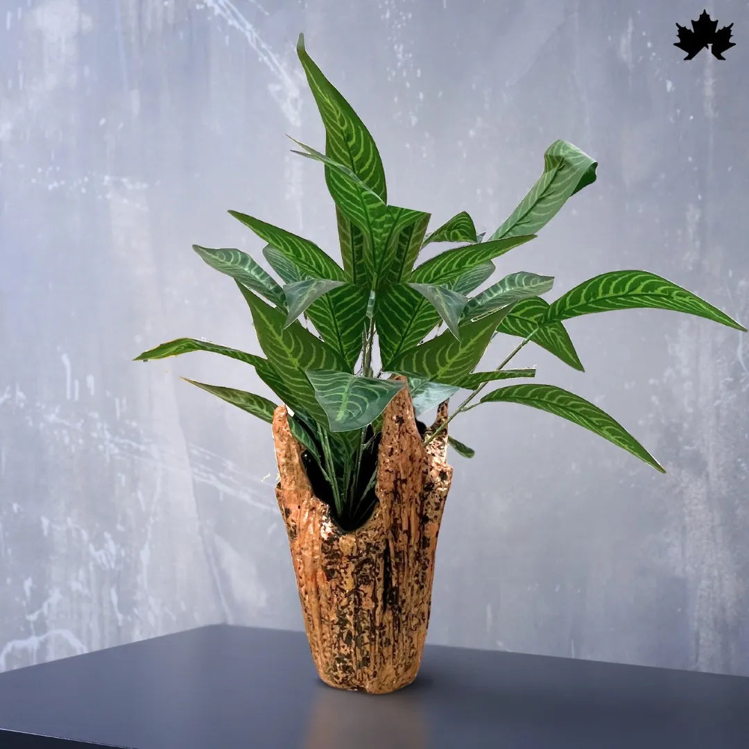 Rustic Terra Luxe – Trendy Indoor Plant Pots Online | Fankaarlok