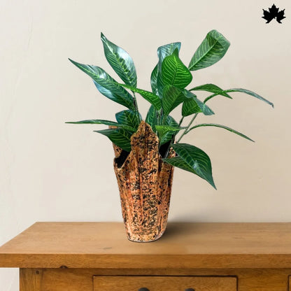 Rustic Terra Luxe – Trendy Indoor Plant Pots Online | Fankaarlok