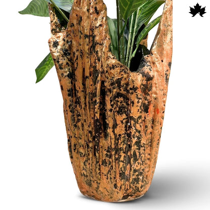 Rustic Terra Luxe – Trendy Indoor Plant Pots Online | Fankaarlok