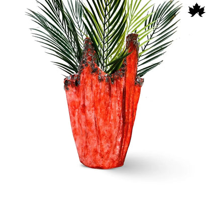 Crimson Flame Aura – Artistic Planter for Home Décor | Fankaarlok