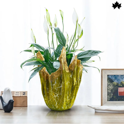 Golden Verde Luxe – Premium Desk Planter for Office | Fankaarlok