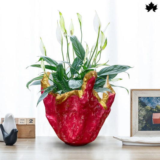 Crimson Royale – Buy Decorative Planter Online India | Fankaarlok